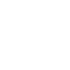 Organización